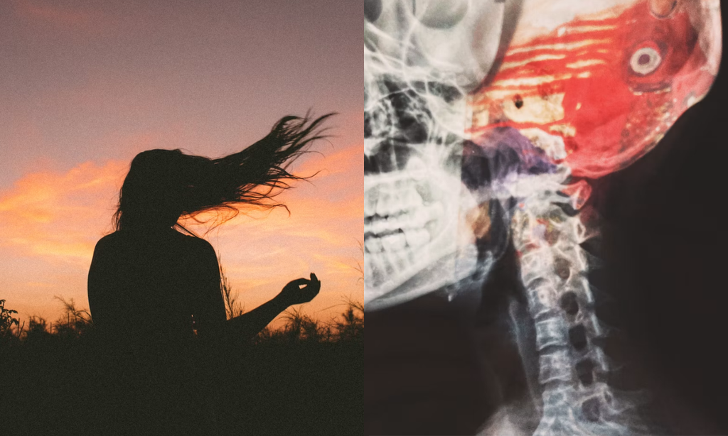Somatic Movement Practitioner Certification